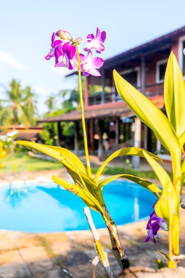 Salinópolis Flow Guest House מראה חיצוני תמונה